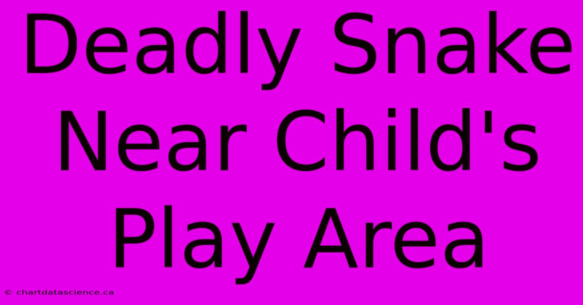 Deadly Snake Near Child's Play Area