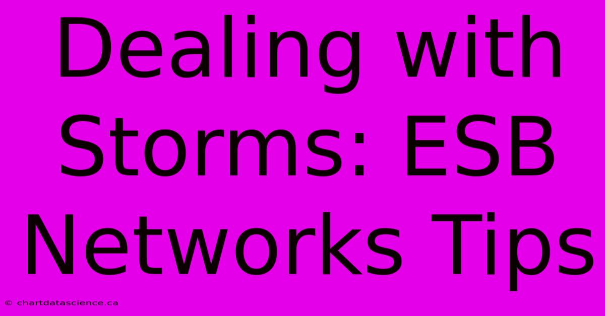 Dealing With Storms: ESB Networks Tips