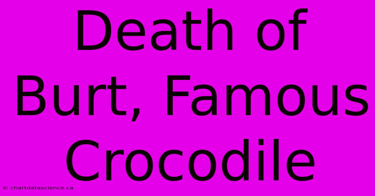 Death Of Burt, Famous Crocodile