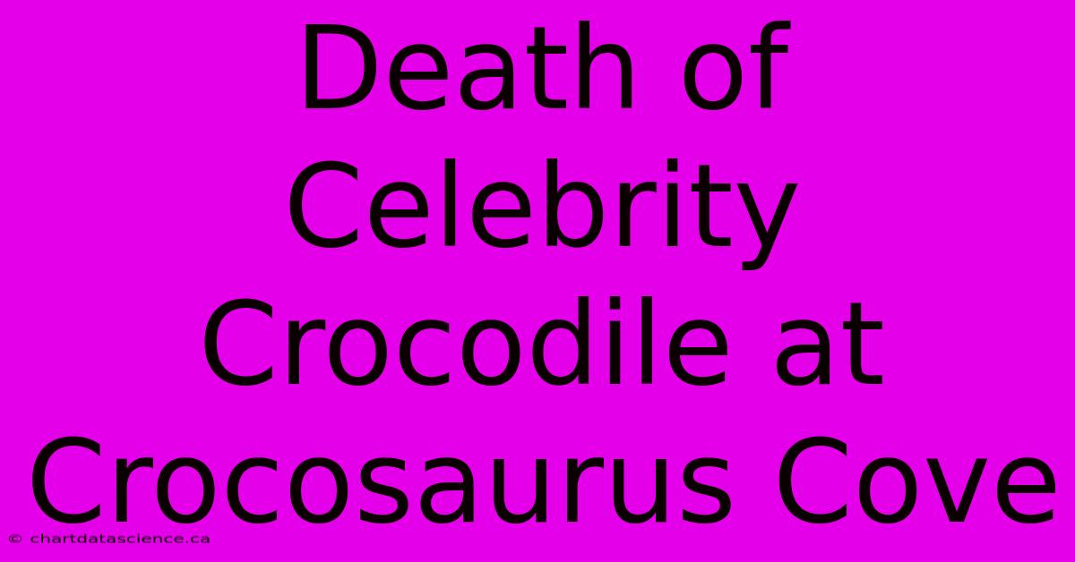 Death Of Celebrity Crocodile At Crocosaurus Cove