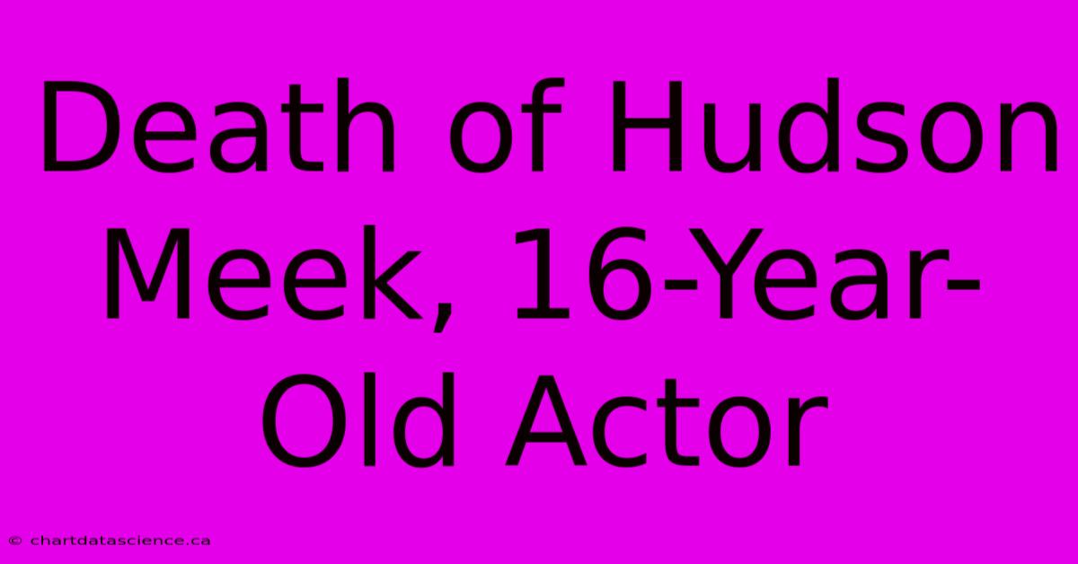 Death Of Hudson Meek, 16-Year-Old Actor