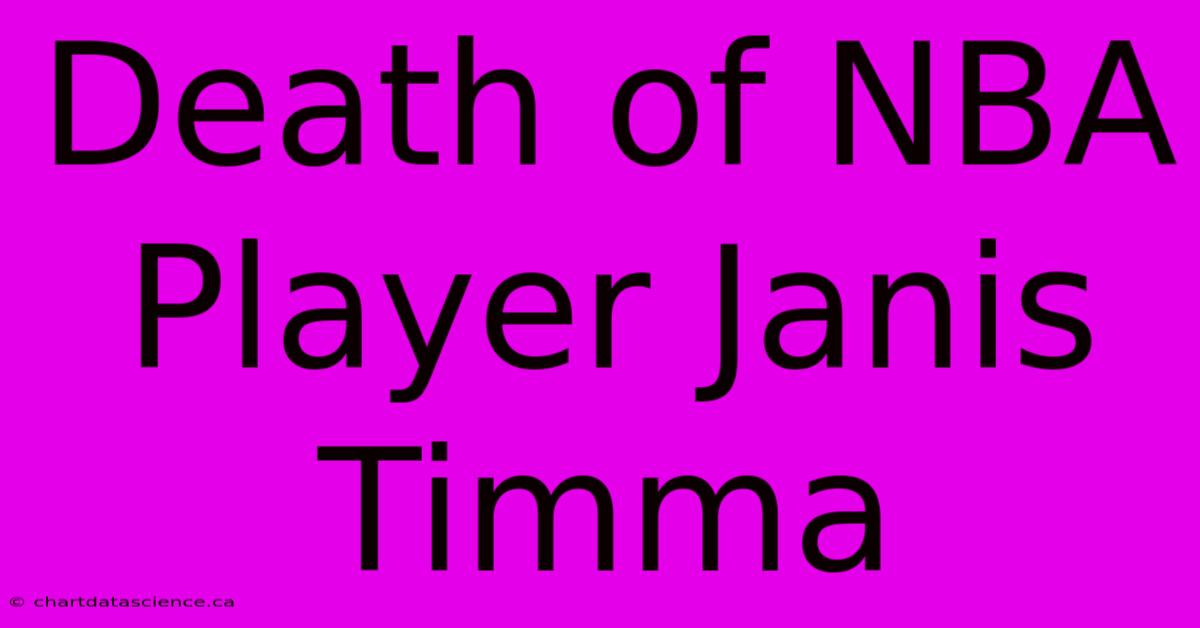 Death Of NBA Player Janis Timma