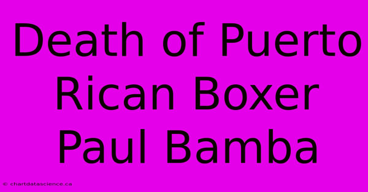 Death Of Puerto Rican Boxer Paul Bamba