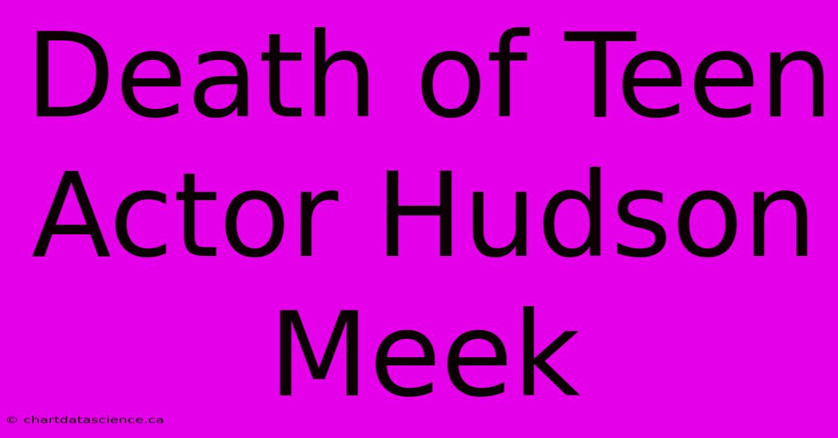 Death Of Teen Actor Hudson Meek