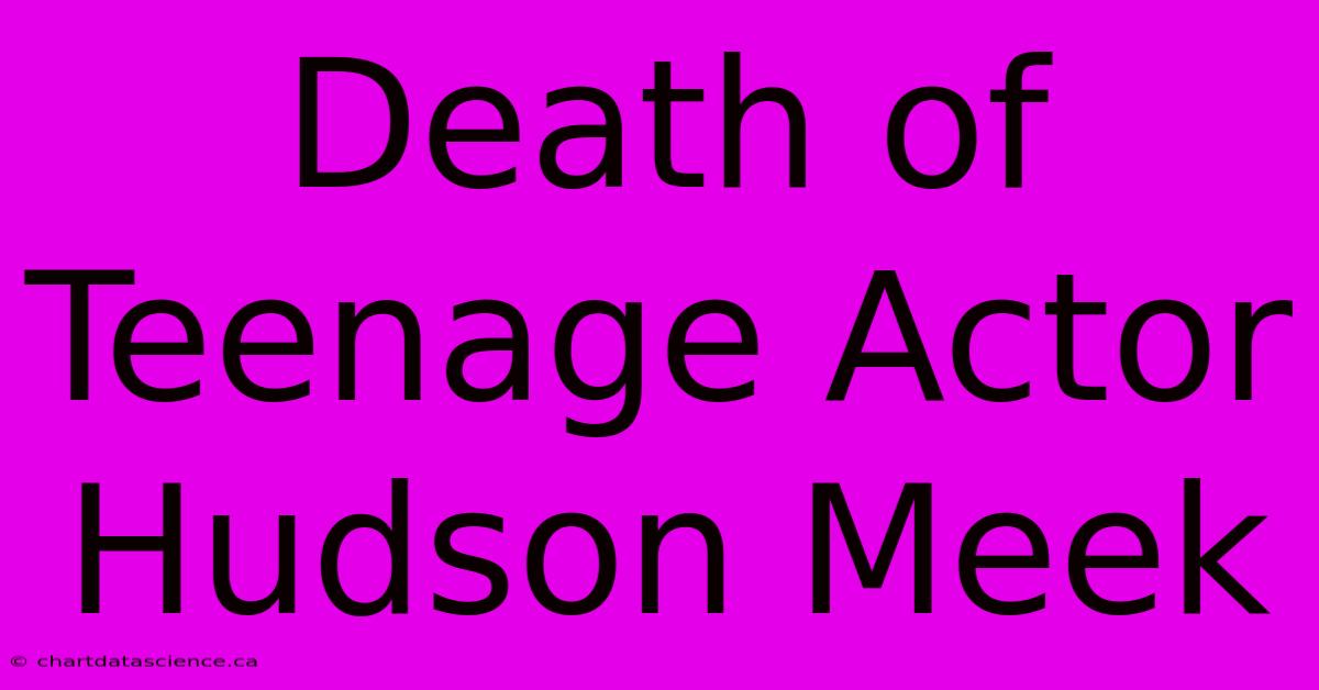 Death Of Teenage Actor Hudson Meek