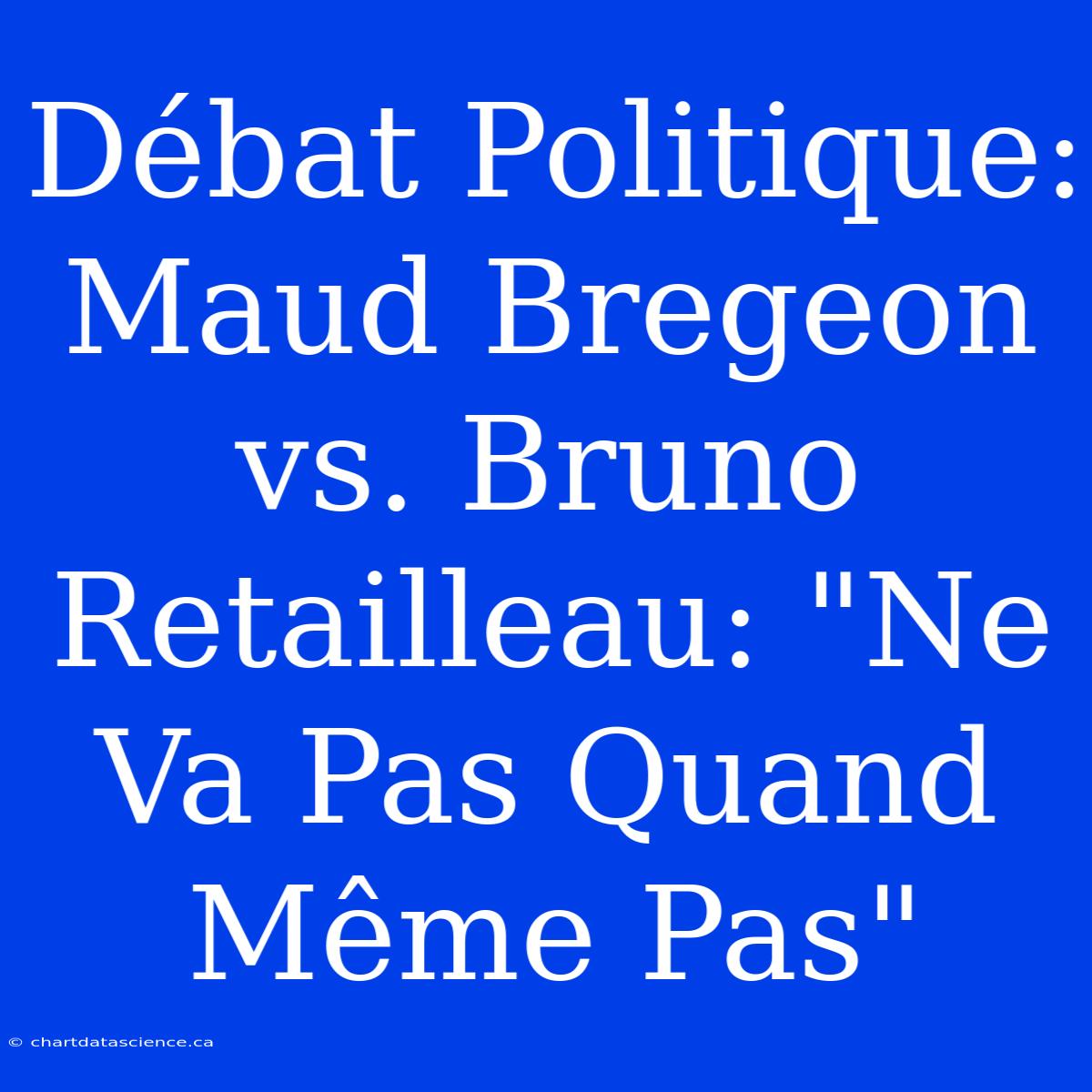 Débat Politique: Maud Bregeon Vs. Bruno Retailleau: 