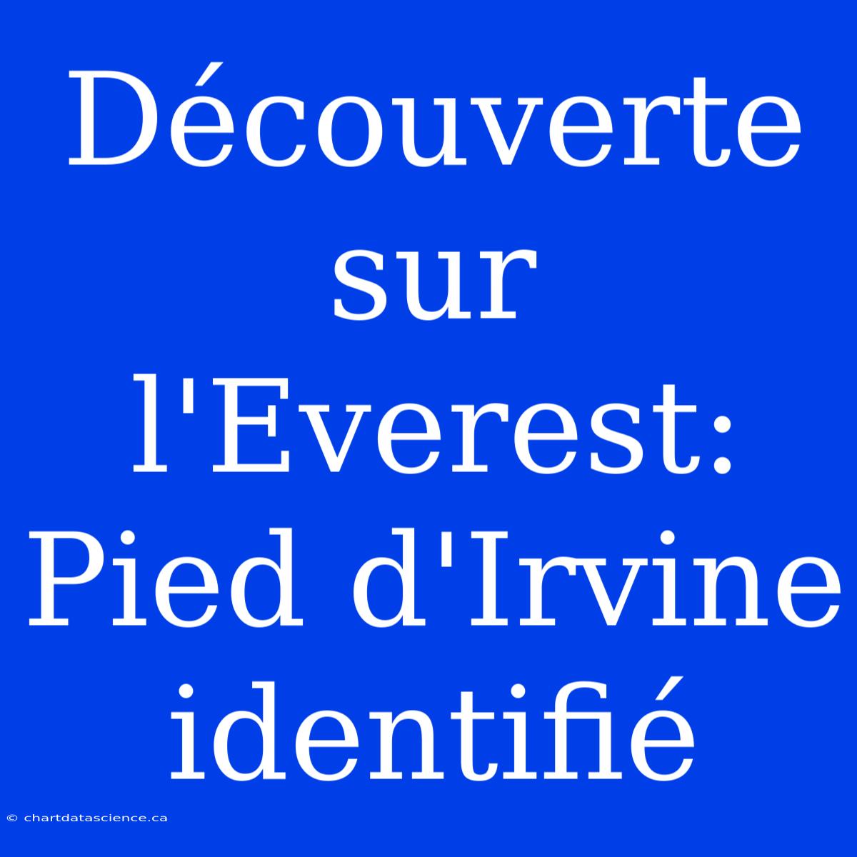 Découverte Sur L'Everest: Pied D'Irvine Identifié