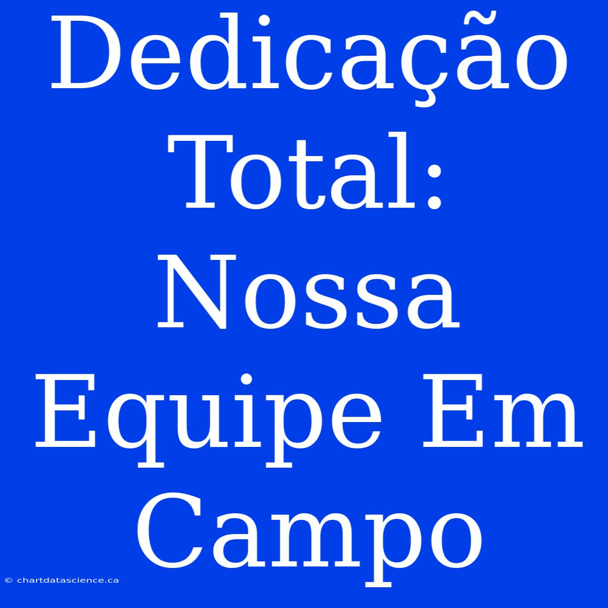 Dedicação Total: Nossa Equipe Em Campo