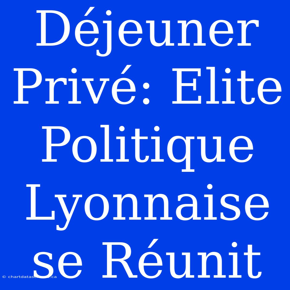 Déjeuner Privé: Elite Politique Lyonnaise Se Réunit