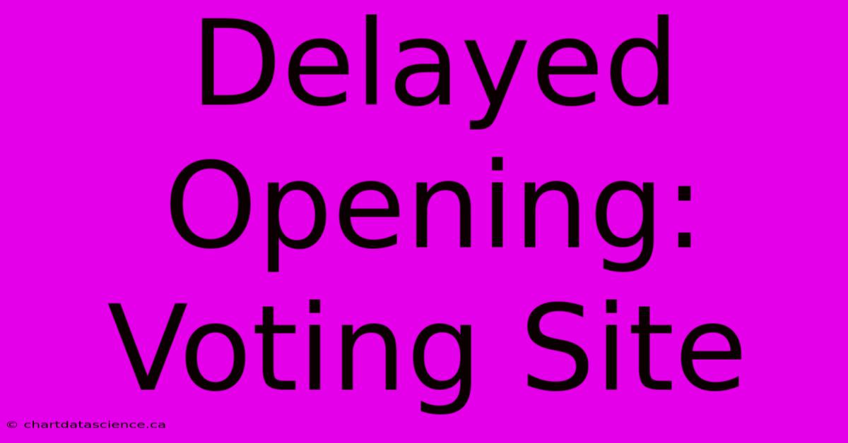 Delayed Opening: Voting Site