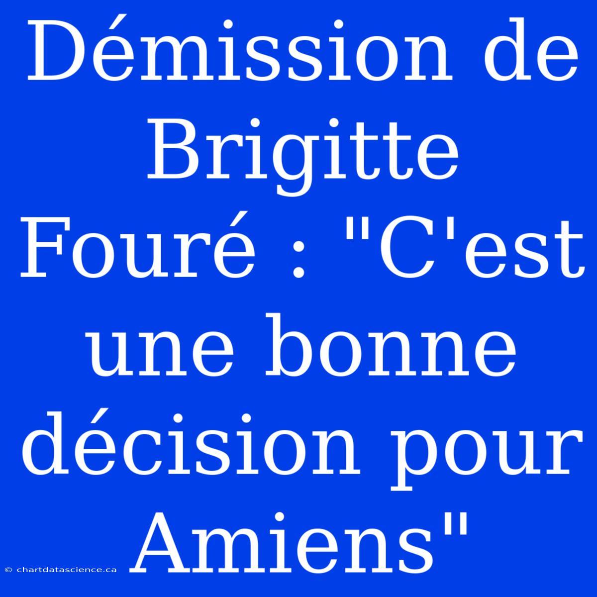 Démission De Brigitte Fouré : 