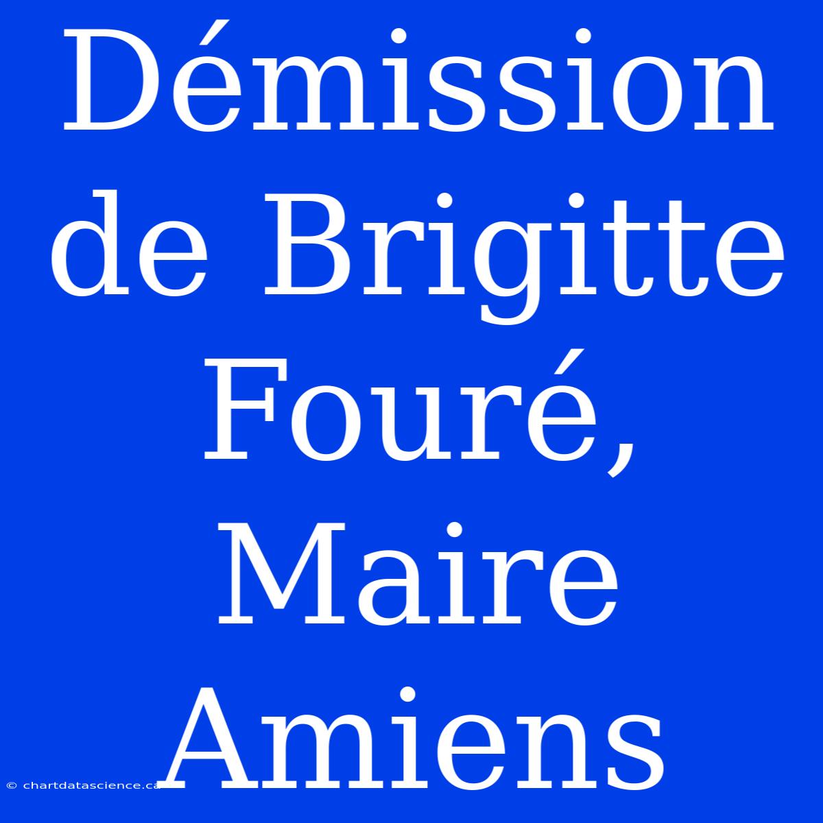 Démission De Brigitte Fouré, Maire Amiens