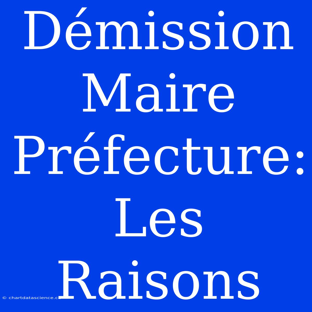 Démission Maire Préfecture: Les Raisons