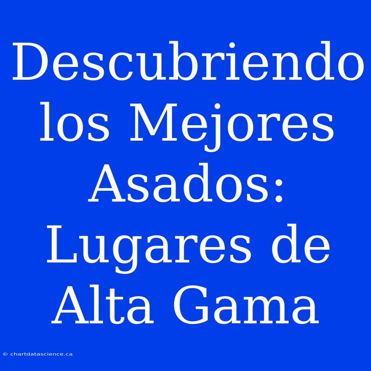 Descubriendo Los Mejores Asados: Lugares De Alta Gama