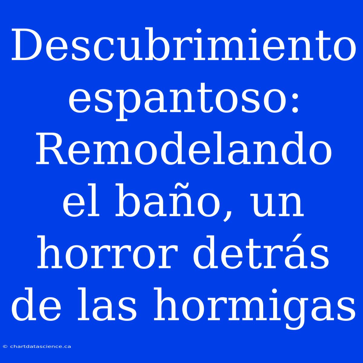 Descubrimiento Espantoso: Remodelando El Baño, Un Horror Detrás De Las Hormigas