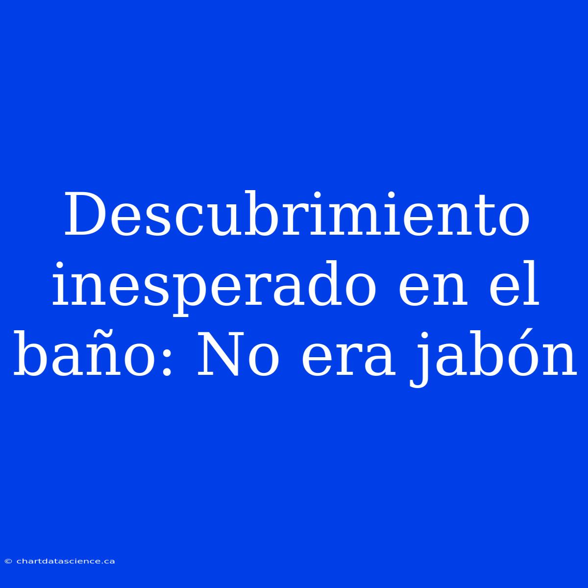 Descubrimiento Inesperado En El Baño: No Era Jabón