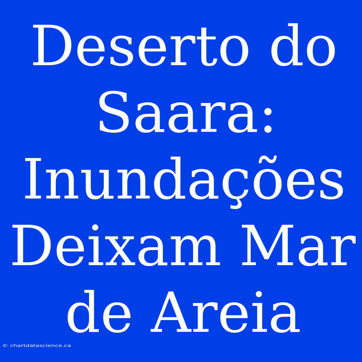 Deserto Do Saara: Inundações Deixam Mar De Areia