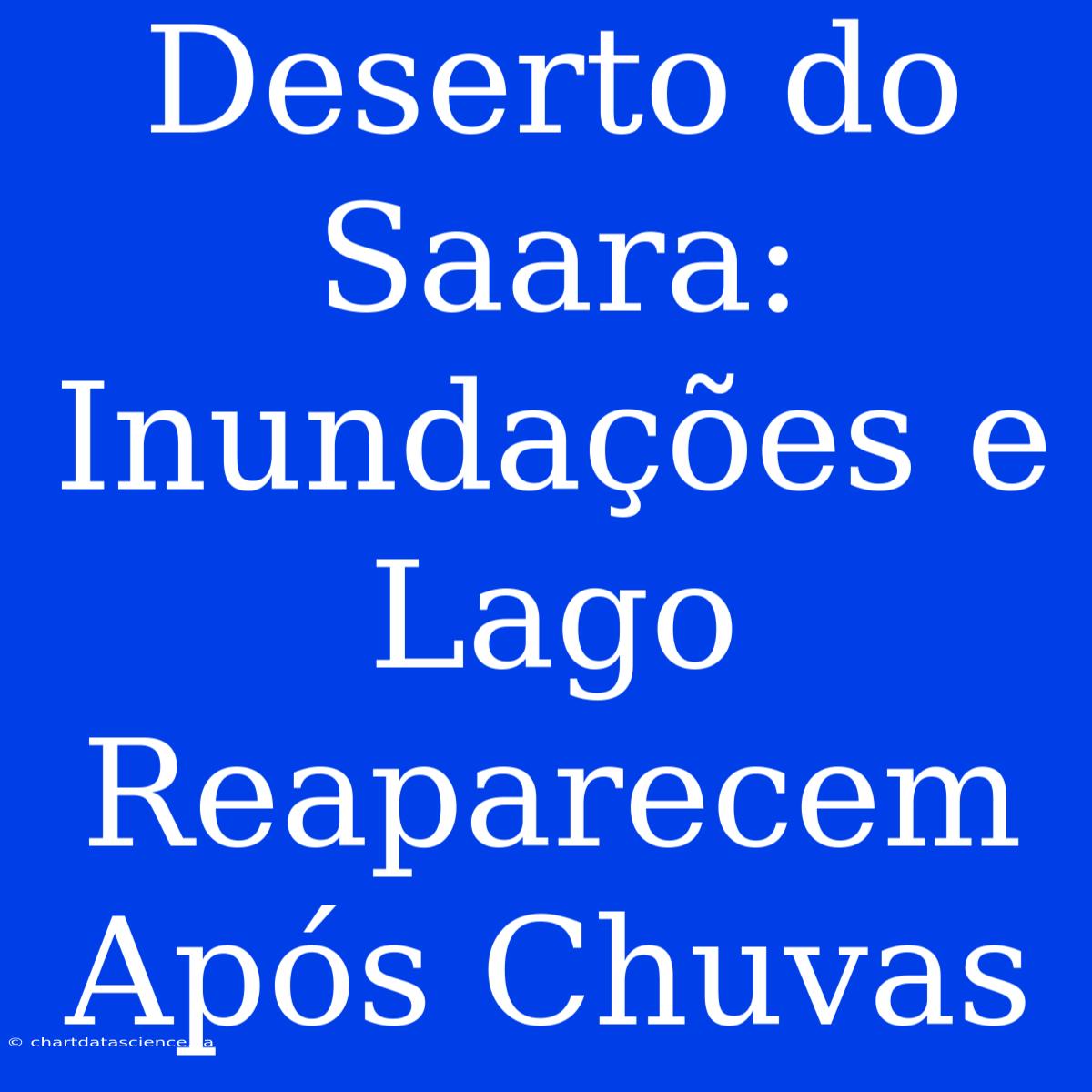 Deserto Do Saara: Inundações E Lago Reaparecem Após Chuvas