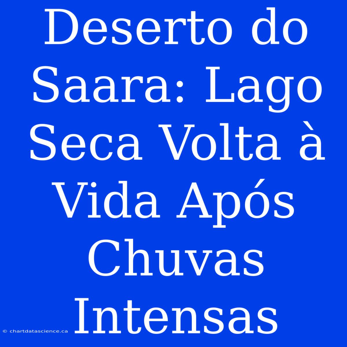 Deserto Do Saara: Lago Seca Volta À Vida Após Chuvas Intensas