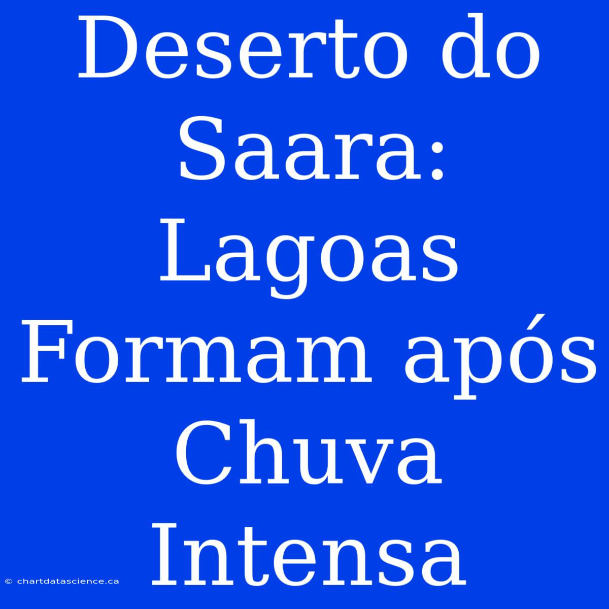 Deserto Do Saara: Lagoas Formam Após Chuva Intensa