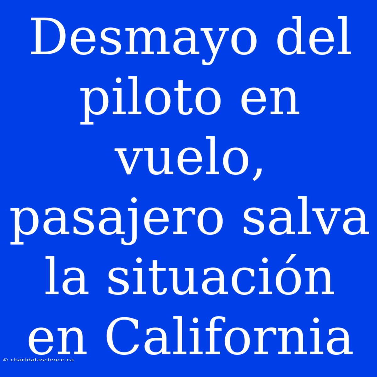 Desmayo Del Piloto En Vuelo, Pasajero Salva La Situación En California