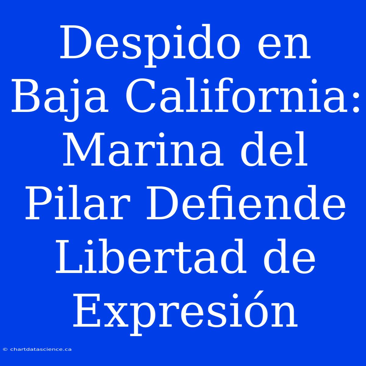 Despido En Baja California: Marina Del Pilar Defiende Libertad De Expresión