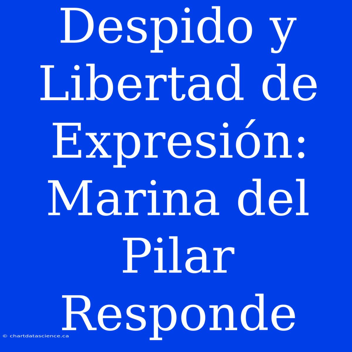 Despido Y Libertad De Expresión: Marina Del Pilar Responde