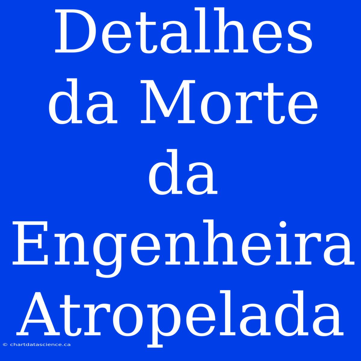 Detalhes Da Morte Da Engenheira Atropelada