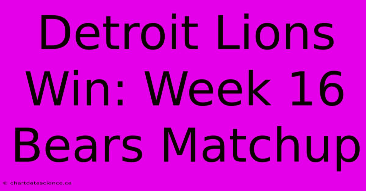 Detroit Lions Win: Week 16 Bears Matchup