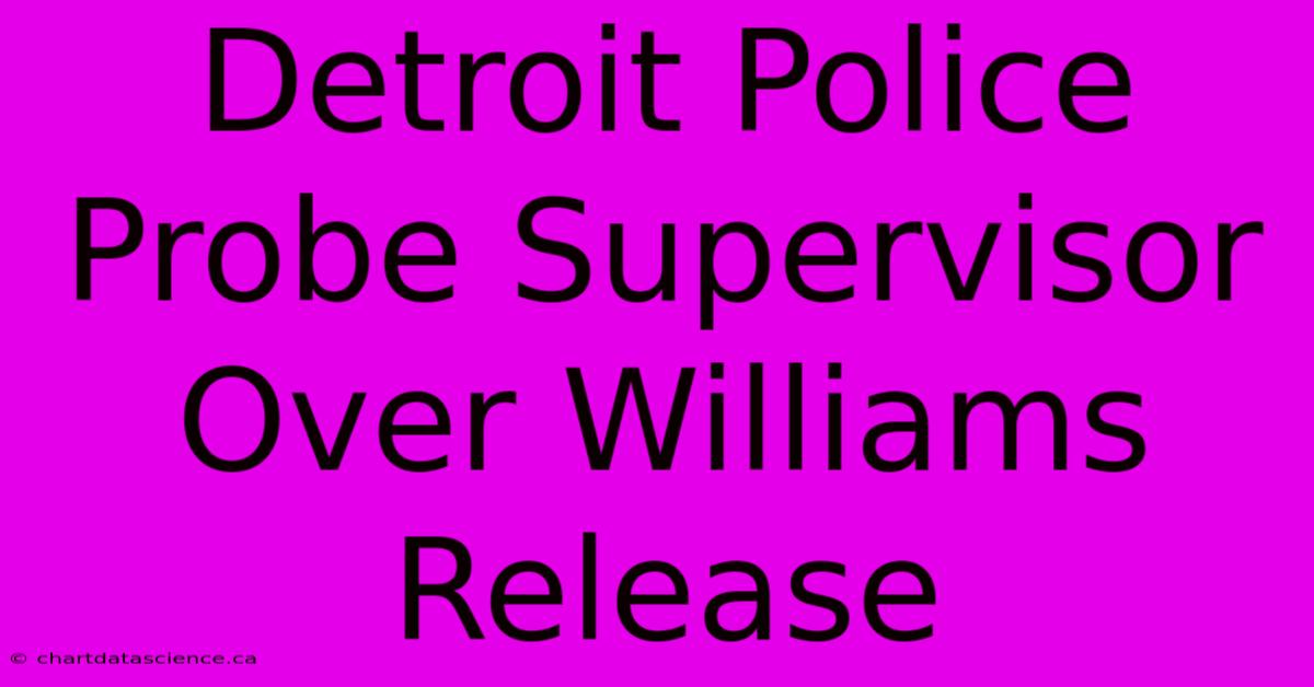 Detroit Police Probe Supervisor Over Williams Release