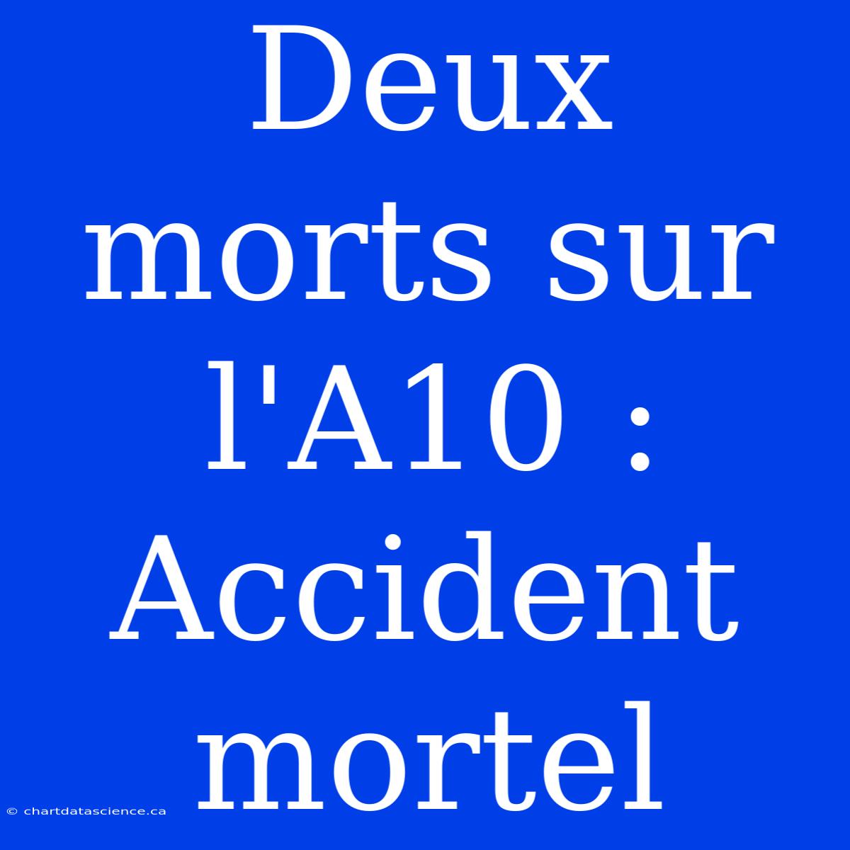 Deux Morts Sur L'A10 : Accident Mortel