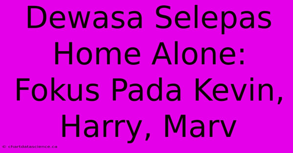 Dewasa Selepas Home Alone:  Fokus Pada Kevin, Harry, Marv