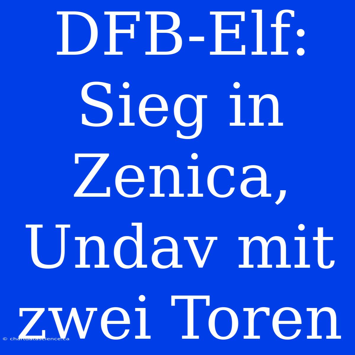 DFB-Elf: Sieg In Zenica, Undav Mit Zwei Toren