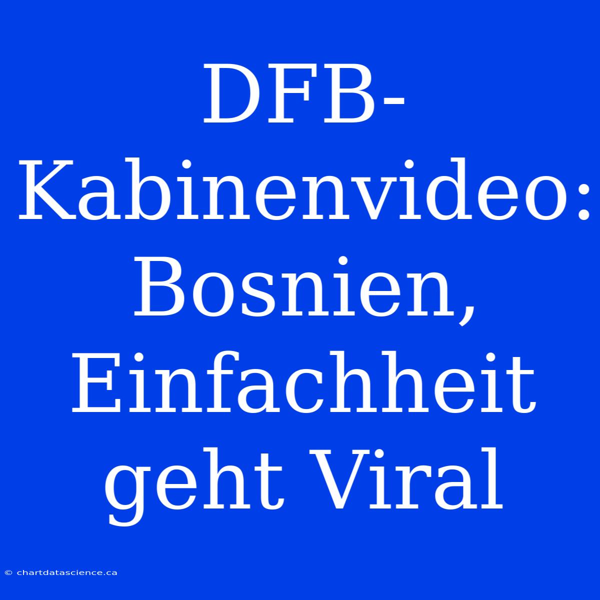 DFB-Kabinenvideo: Bosnien, Einfachheit Geht Viral