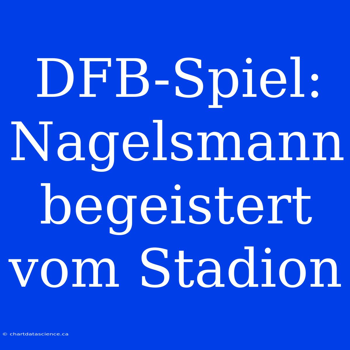 DFB-Spiel: Nagelsmann Begeistert Vom Stadion