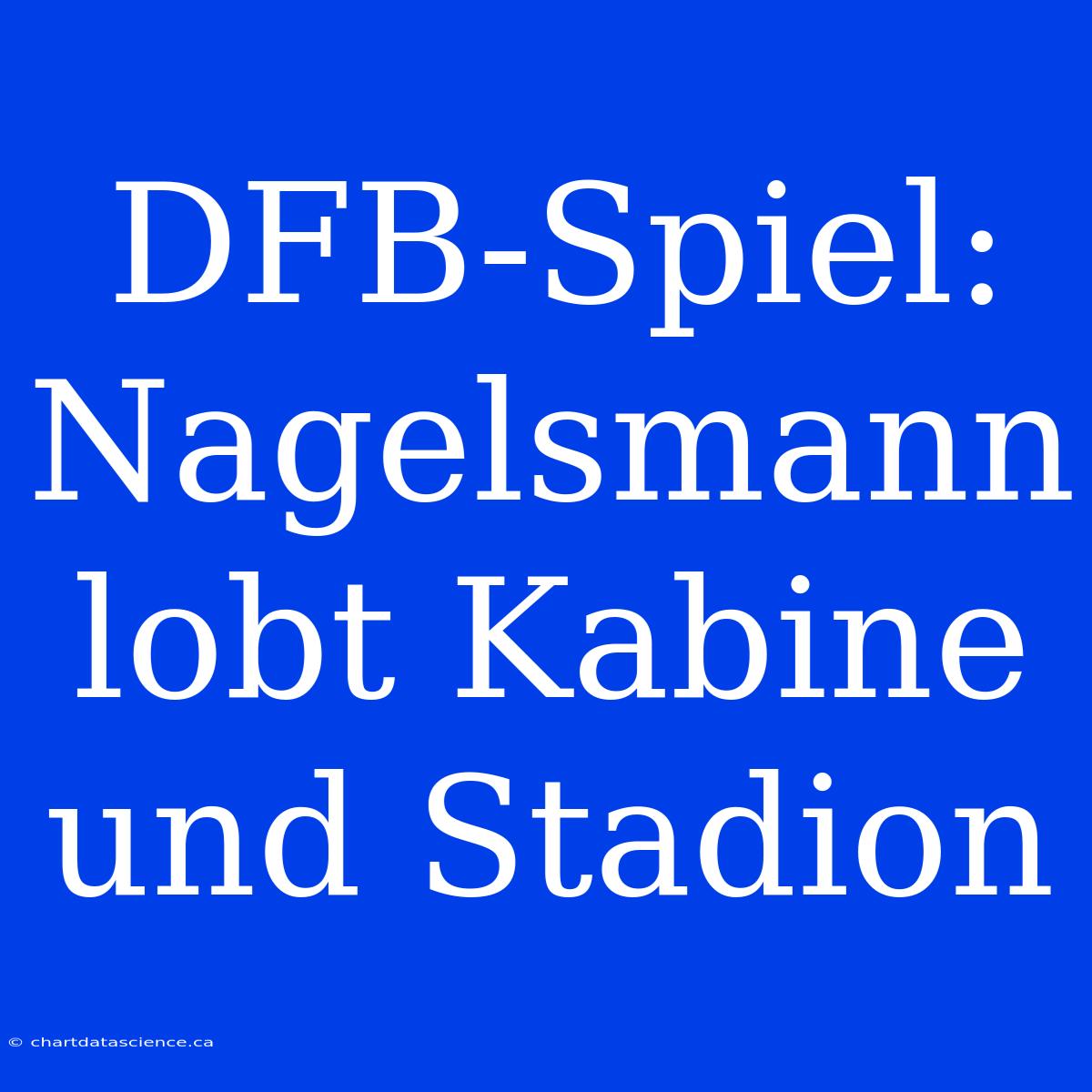 DFB-Spiel: Nagelsmann Lobt Kabine Und Stadion