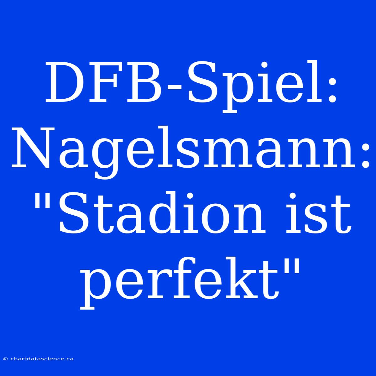 DFB-Spiel: Nagelsmann: 