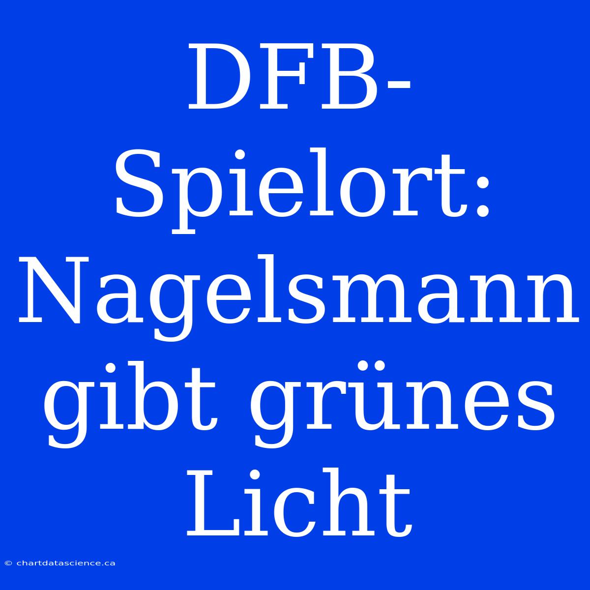 DFB-Spielort: Nagelsmann Gibt Grünes Licht