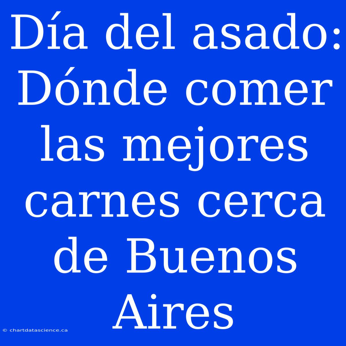 Día Del Asado: Dónde Comer Las Mejores Carnes Cerca De Buenos Aires