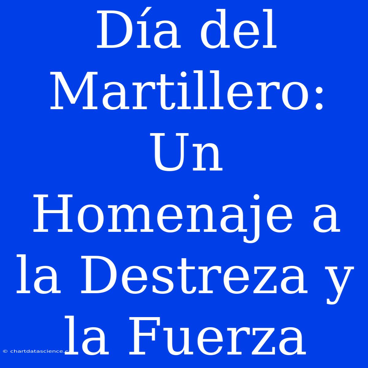 Día Del Martillero: Un Homenaje A La Destreza Y La Fuerza