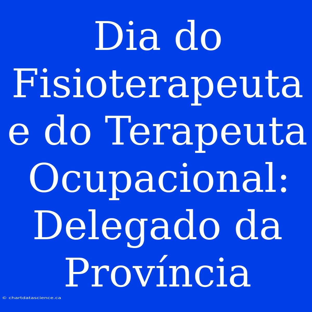 Dia Do Fisioterapeuta E Do Terapeuta Ocupacional: Delegado Da Província