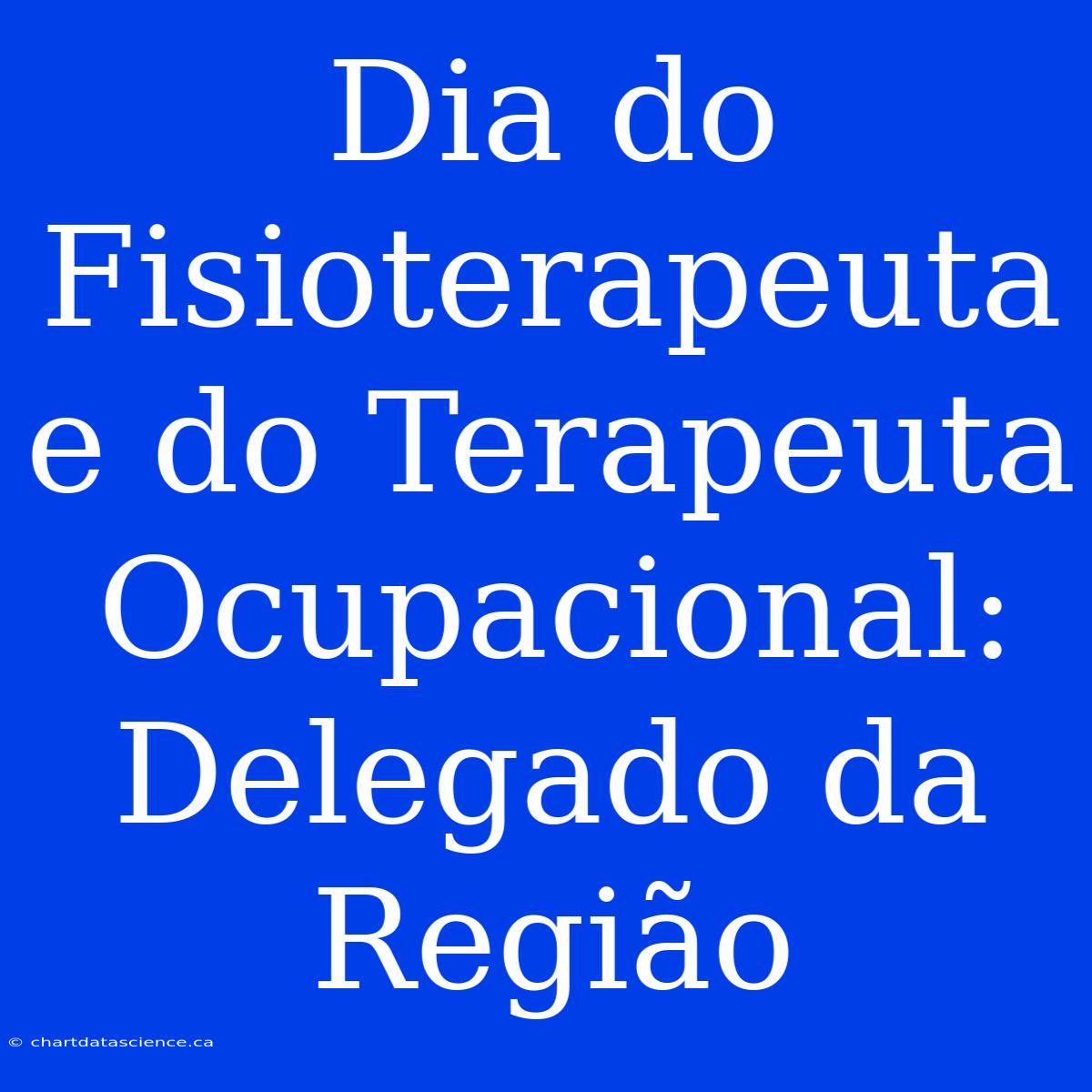 Dia Do Fisioterapeuta E Do Terapeuta Ocupacional: Delegado Da Região