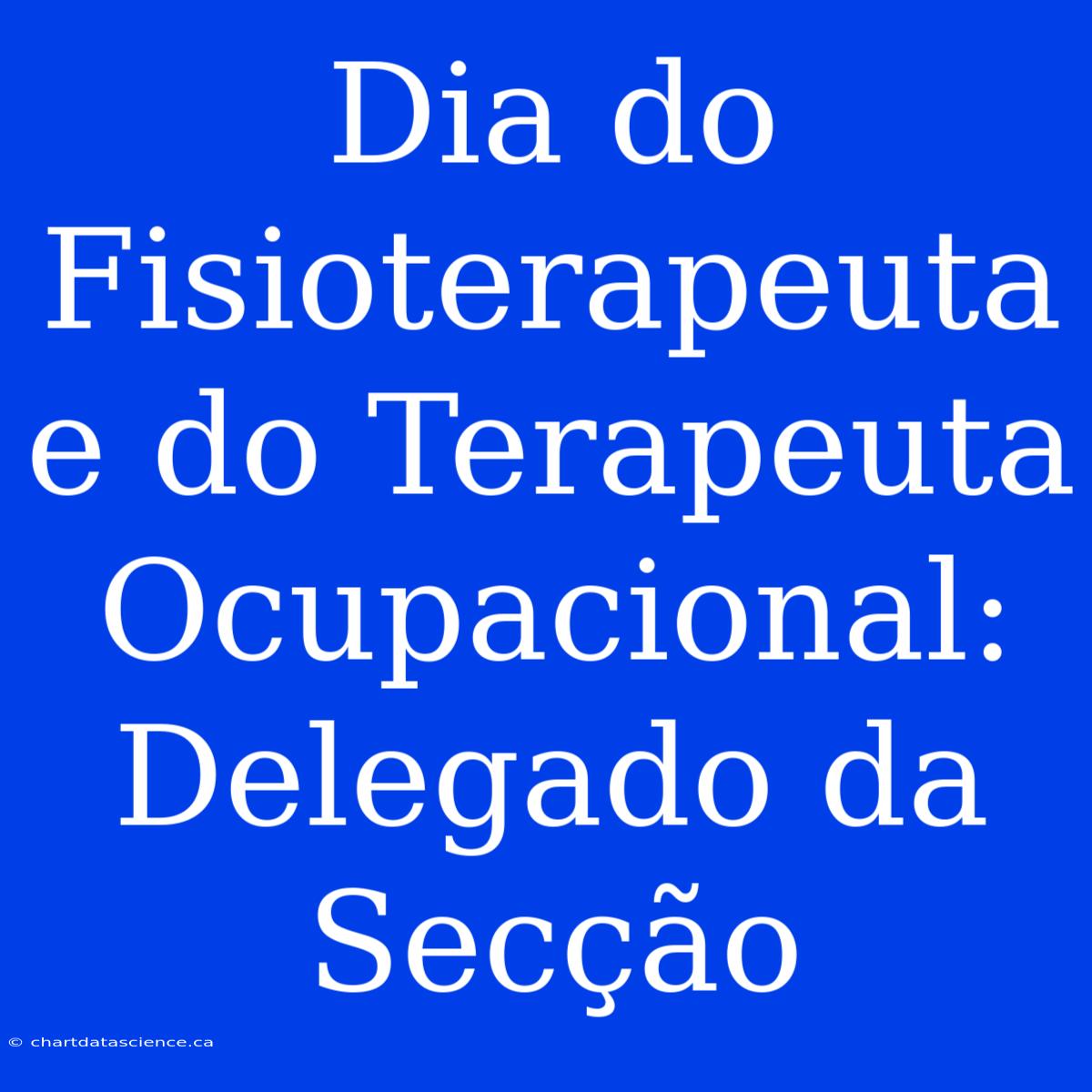 Dia Do Fisioterapeuta E Do Terapeuta Ocupacional: Delegado Da Secção