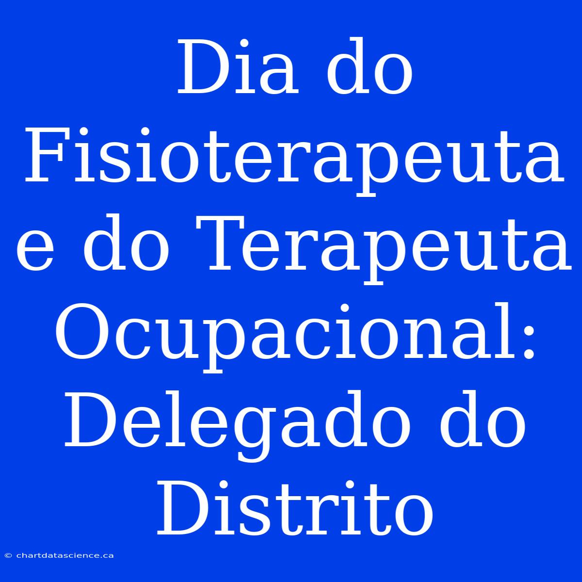 Dia Do Fisioterapeuta E Do Terapeuta Ocupacional: Delegado Do Distrito