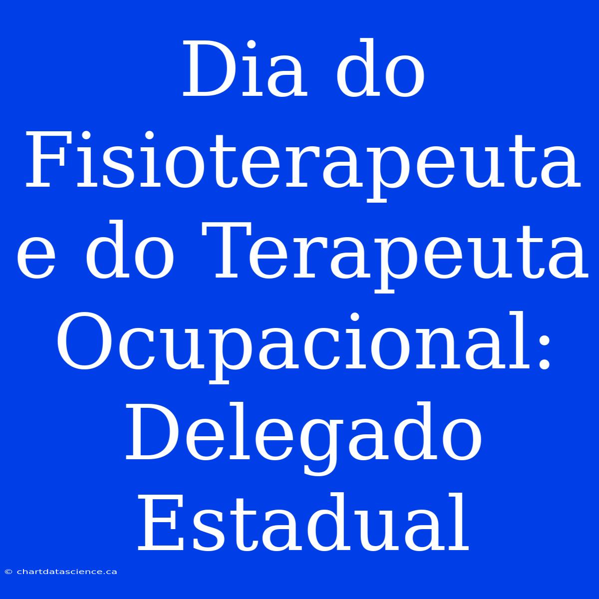 Dia Do Fisioterapeuta E Do Terapeuta Ocupacional: Delegado Estadual