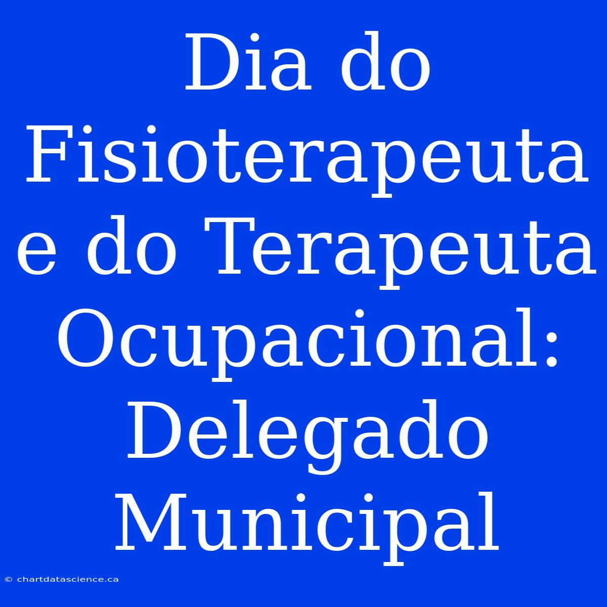 Dia Do Fisioterapeuta E Do Terapeuta Ocupacional: Delegado Municipal