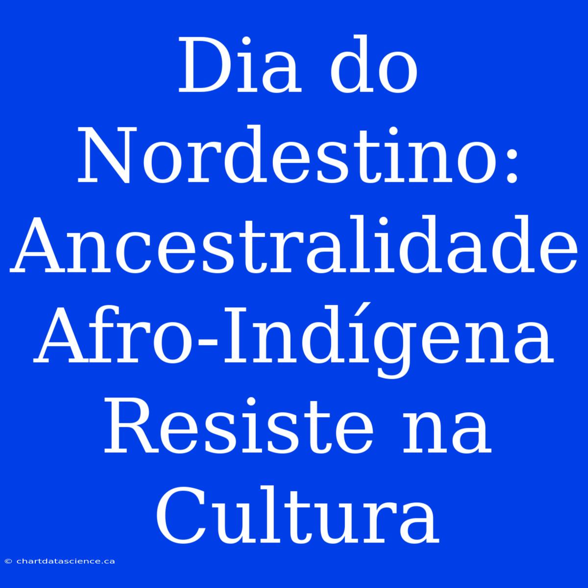 Dia Do Nordestino: Ancestralidade Afro-Indígena Resiste Na Cultura