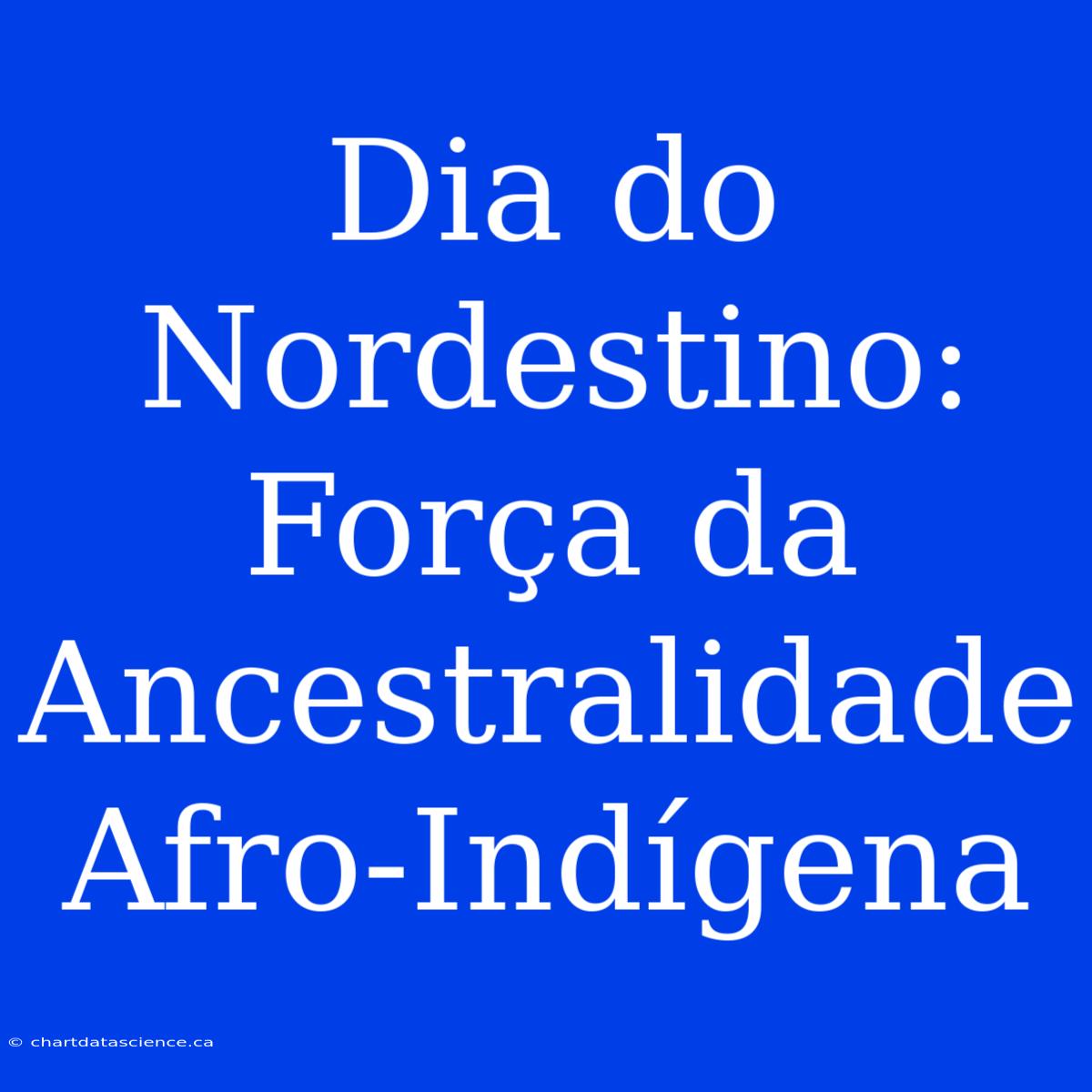 Dia Do Nordestino: Força Da Ancestralidade Afro-Indígena