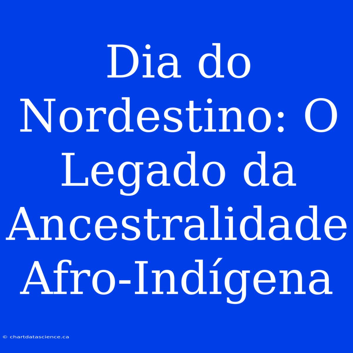 Dia Do Nordestino: O Legado Da Ancestralidade Afro-Indígena