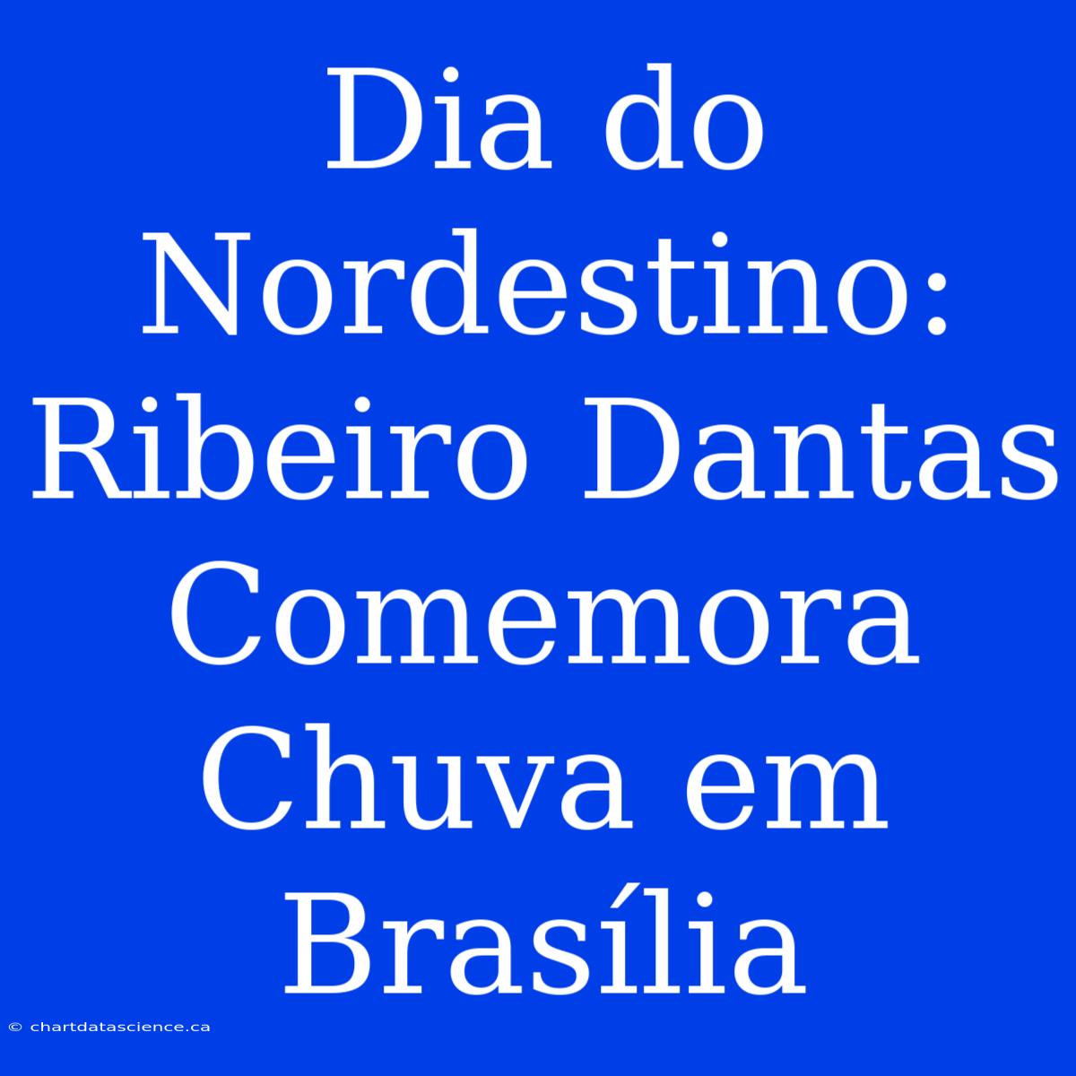 Dia Do Nordestino: Ribeiro Dantas Comemora Chuva Em Brasília